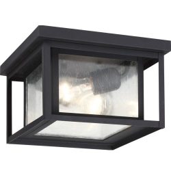 Seagull Lighting 78027-12 Two Light Outdoor Ceiling Flush Mount, Black