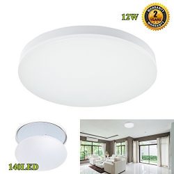 LED Flush Mount Ceiling Light,S&G Professional 100W Incandescent Bulbs Equivalent Slimline L ...