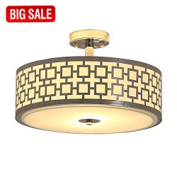 SOTTAE Luxurious Chrome Finish 2 Lights Glass Diffuser Living Room Bedroom Ceiling Light,Ceiling ...