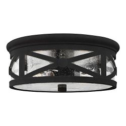 Sea Gull Lighting 7821402-12 Lakeview Two-Light Outdoor Flush Mount Ceiling Light with Clear See ...