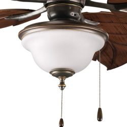 Progress Lighting P2636-20 2-Light Indoor/Outdoor Fan Light Kit with Frosted Seeded Glass, Antiq ...