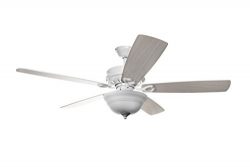 Hyperikon 52 Inch Ceiling Fan with Remote Control, White Ceiling Fan Indoor, Five Reversible Bla ...