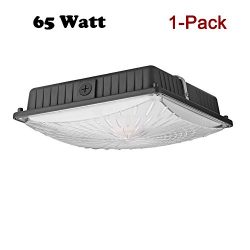 1000LED 65W LED Canopy Light Fixture, 8,000 Lumens, 300W-400W Replacement, 10″ x 10″ ...