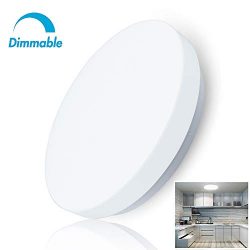 W-LITE 20W Dimmable Led Flush Mount Ceiling Lighting Fixture,Modern Round Close to Ceiling Light ...