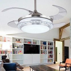 Lighting Groups Modern Acrylic Blades Cool Ceiling Fan Light Kit 42 Inch Invisible Energy-Saving ...