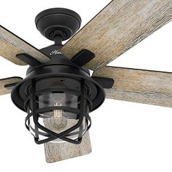 Hunter Fan 54 inch Casual Weathered Zinc Indoor Ceiling Fan with Light Kit and Remote Control (R ...