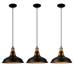 LEONLITE Industrial Metal Pendant Light, Edison Vintage Style Hanging Barn Lampshade, Matte Blac ...