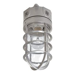 EATON Lighting VT100G 100W Vapor Tight Light