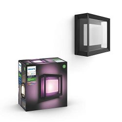 Philips Hue 1743830V7 White & Color Ambiance Econic Wall & Ceiling Fixture, Black