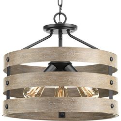 Progress Lighting P350049-143 Gulliver Three-Light Semi-Flush Convertible, Graphite finish