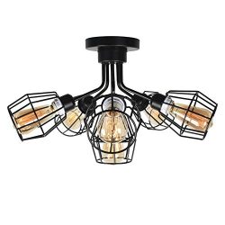 Baiwaiz Black Industrial Ceiling Lighting, Metal Wire Cage Semi Flush Mount Light Steampunk Clos ...