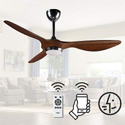 reiga 52″ WIFI Smart Ceiling Fan with LED Light Kit, Work with Alexa, Apps, Remote Control