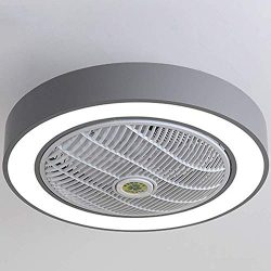 Ceiling Fan with Lights, Invisible Acrylic Blade Metal Shell Ceiling Light Fan, LED Remote Contr ...