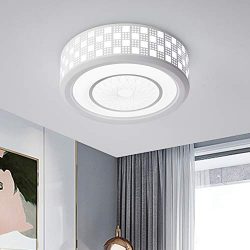 Jaycomey 24W White Ceiling Lights,Modern LED Flush Mount Ceiling Light, 11.8 Inch Round Close to ...